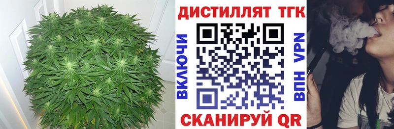 ТГК Wax  Ахтырский 